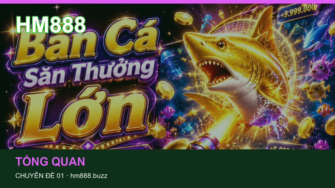Trải nghiệm Tổng quan trên điện thoại cùng cẩm nang HM888