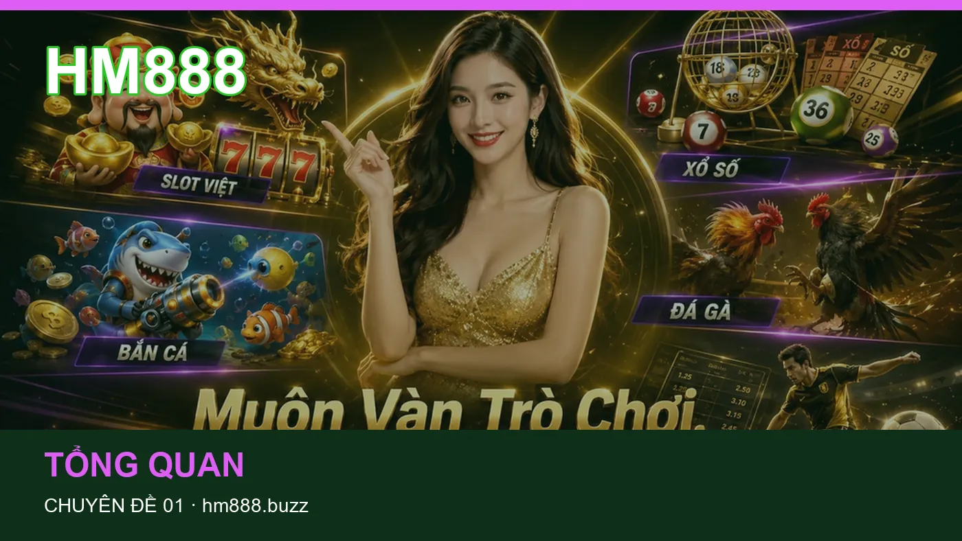 Đối chiếu nguồn và thời điểm cập nhật trong Tài khoản của HM888