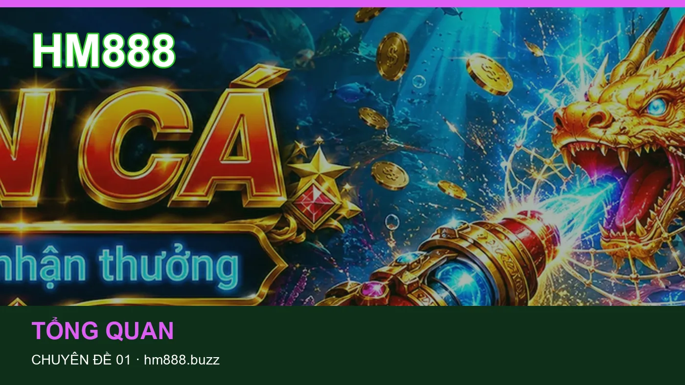 Ứng dụng: những thuật ngữ cần hiểu khi tra cứu HM888